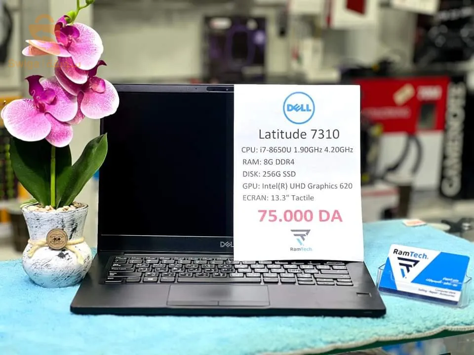 Dell Latitude 7310