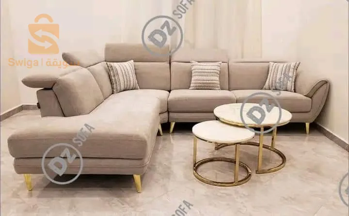 غرفة جلوس حديثة صالون