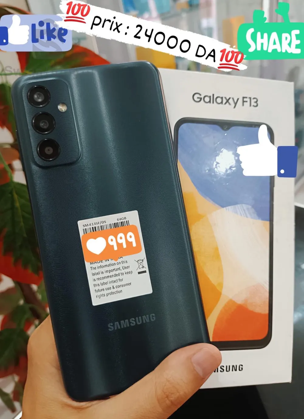 Galaxy F13