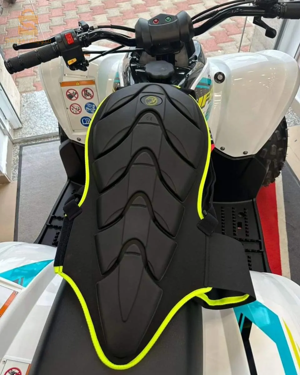 Protection Dorsale complète Bering, Ixon, ls2, fle