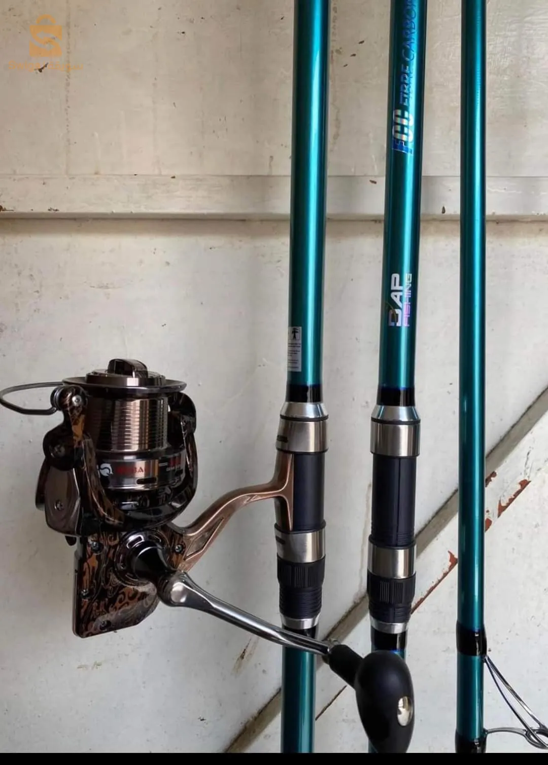 Canne dap fishing 🎣 4.20m + moulinet debaoo rs9000