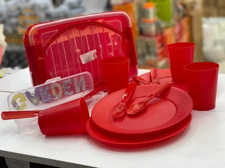 Picnic set