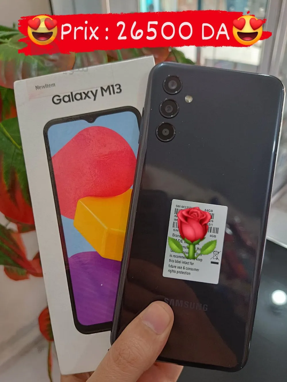 Galaxy M13