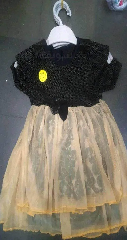 روب برينساس