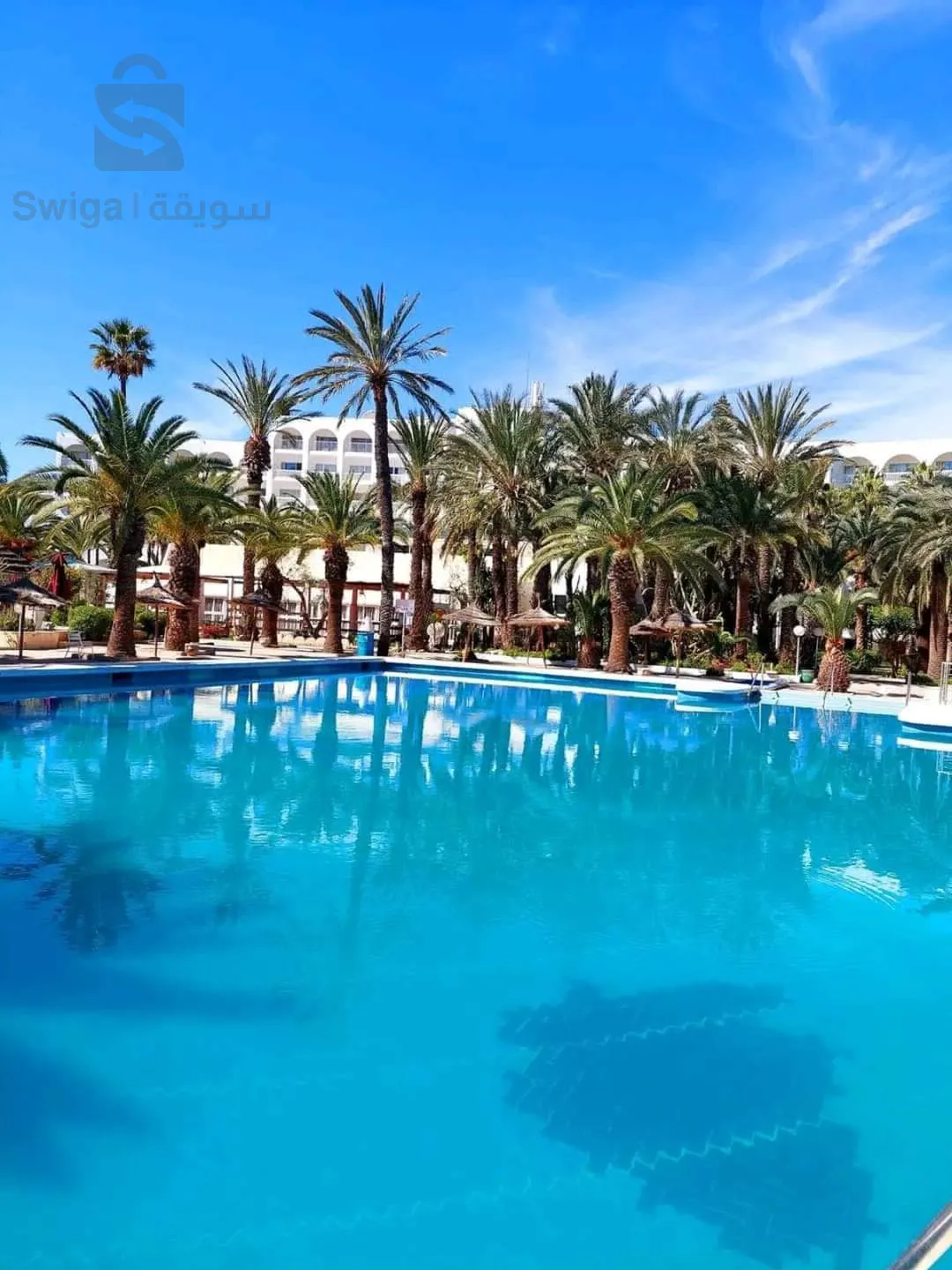 رحلة إلى تونس