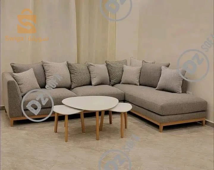 غرفة جلوس حديثة صالون