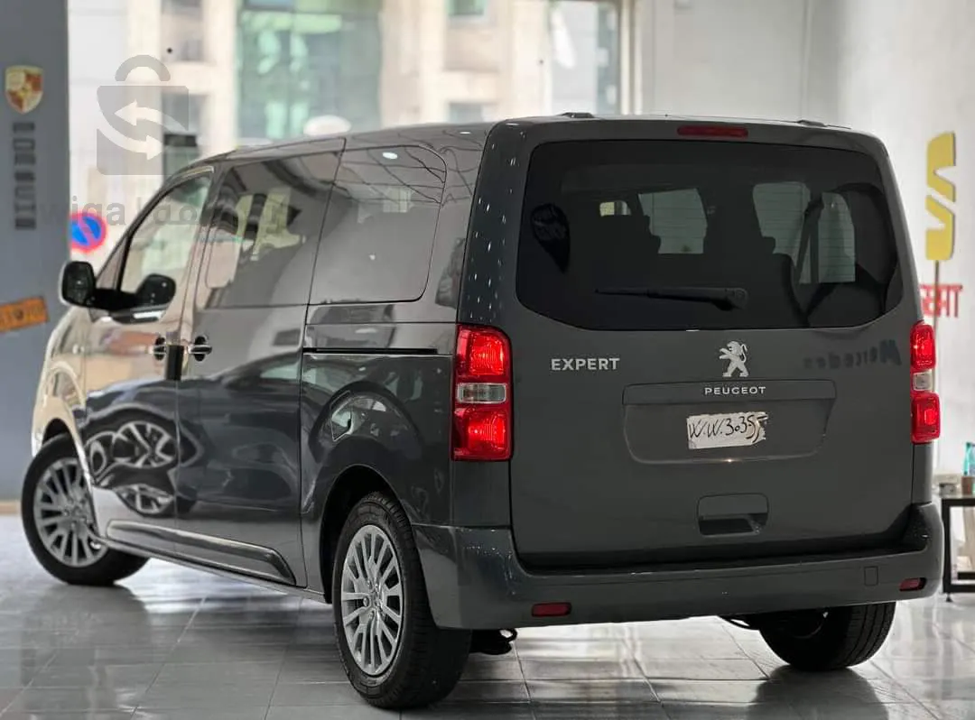 Peugeot Exper