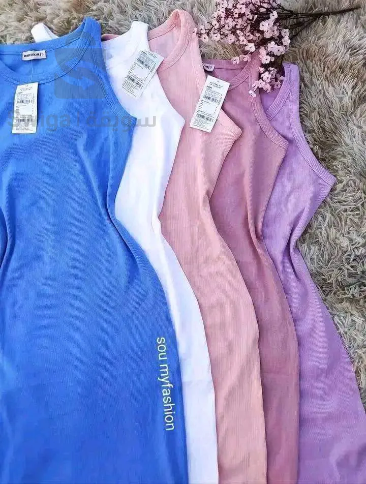 روبة نوميديا