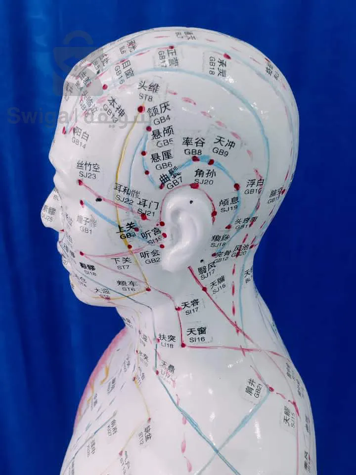 typical architecture