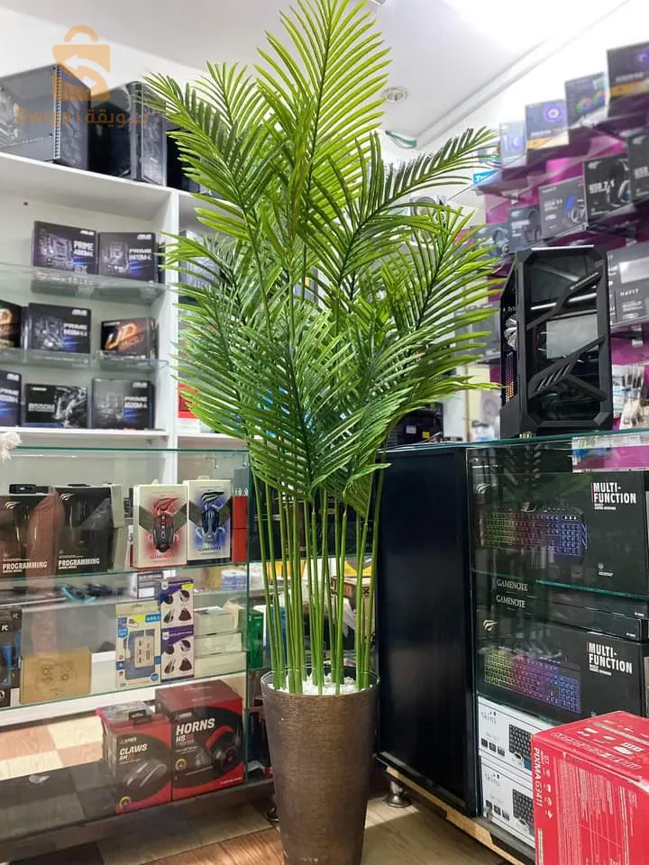 اشجار الزينة