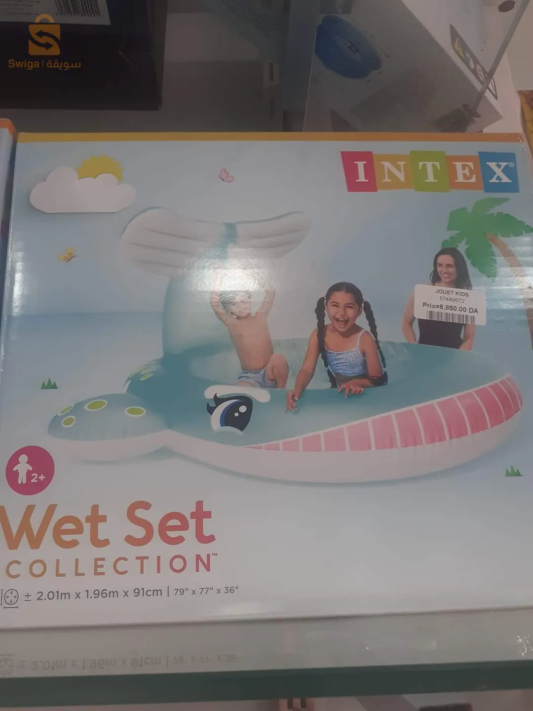 انتكس حمام سباحة رش الحوت كيدي