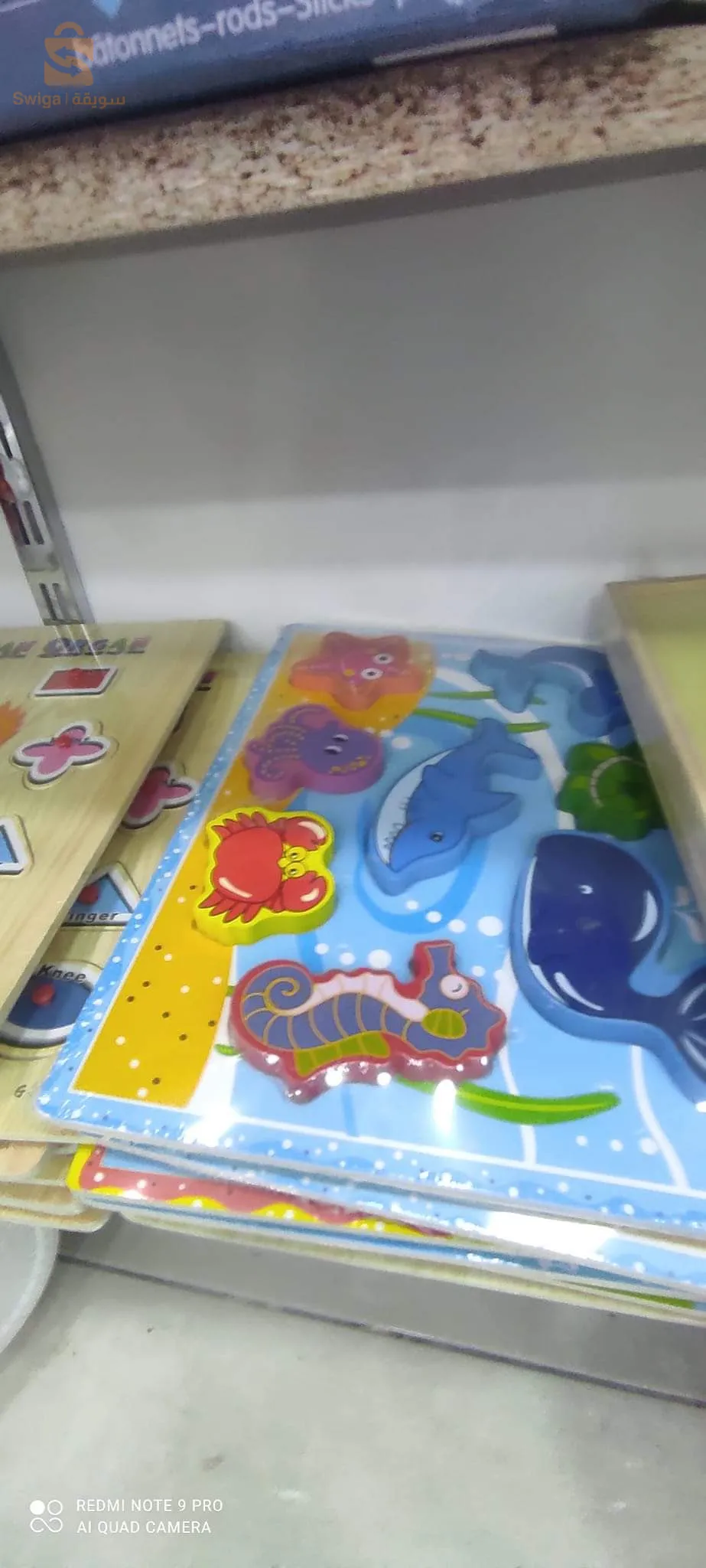 اشكال الحيوانات البحرية