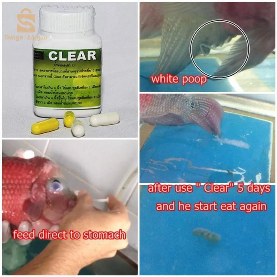 أدوية الاسماك