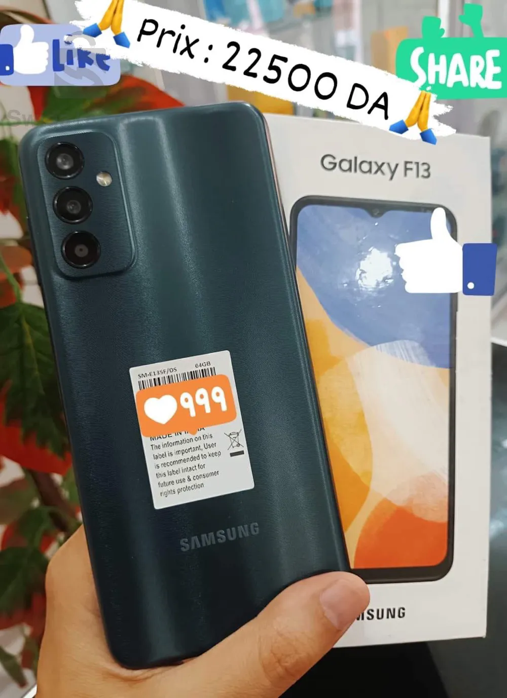 Galaxy F13