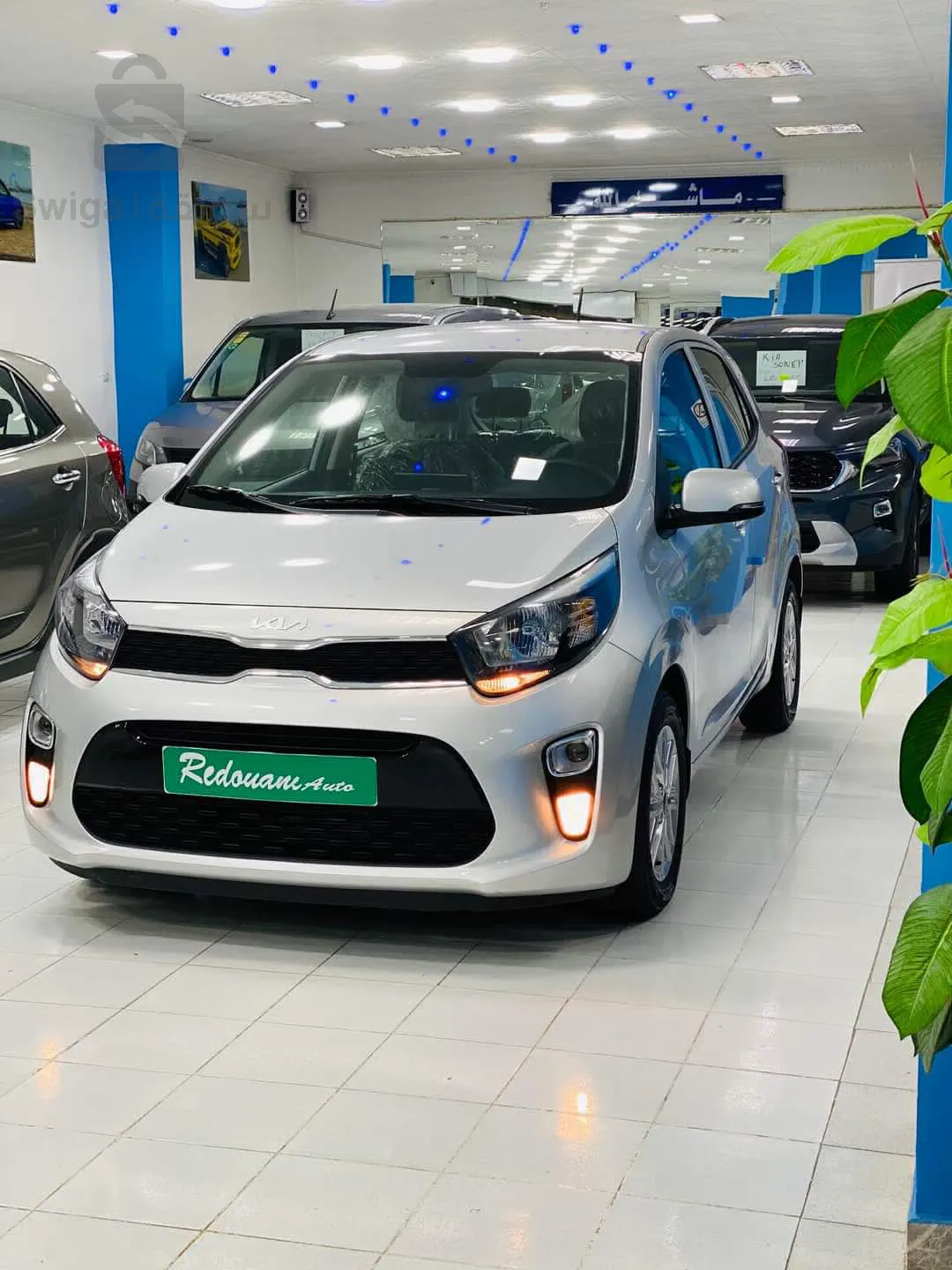 KIA PICANTO      2022      disponible