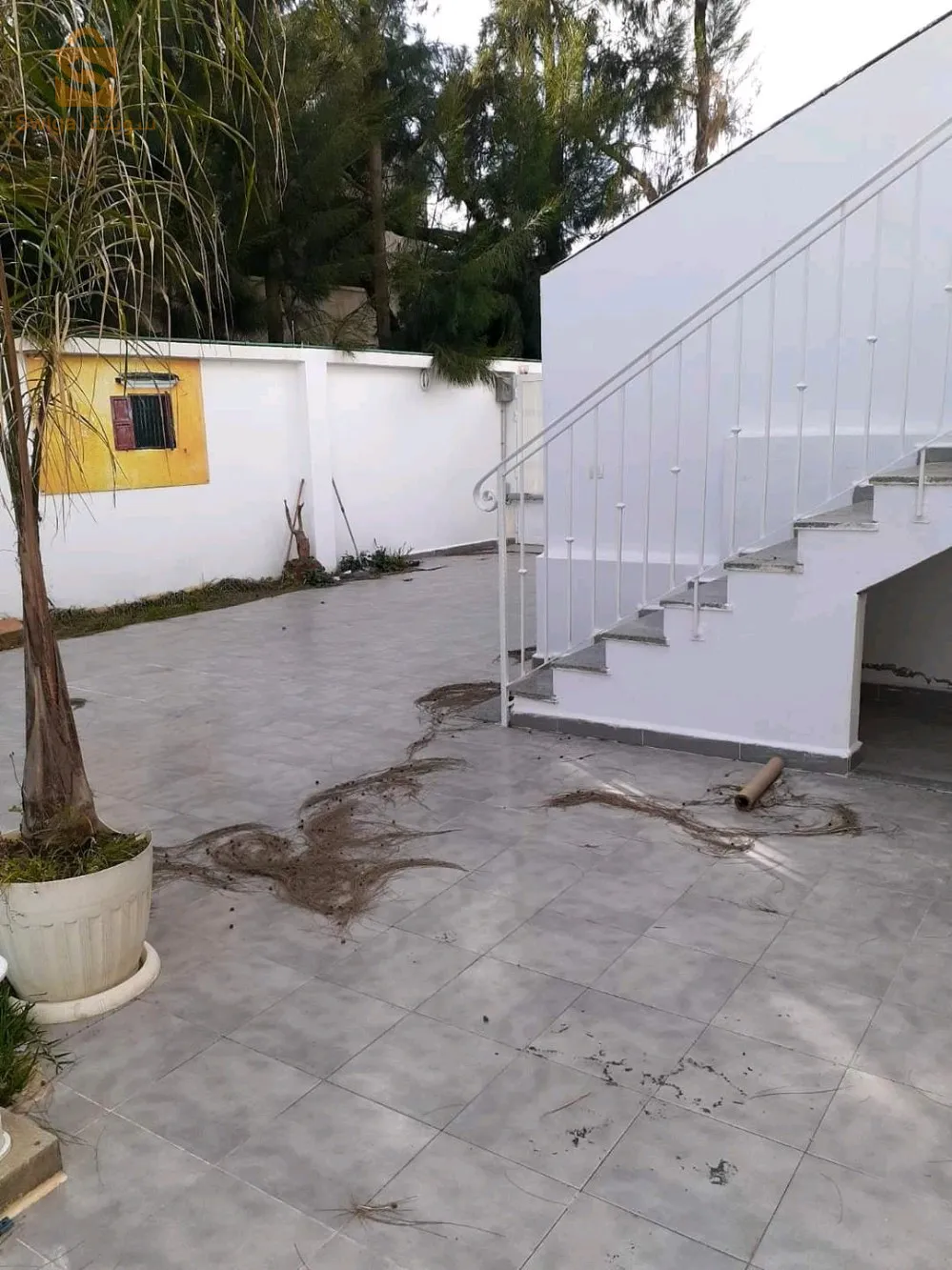 فيلا للكراء