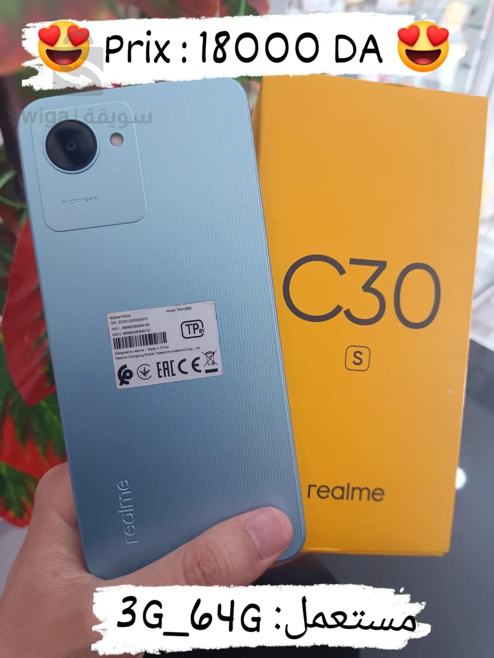 realme C30s