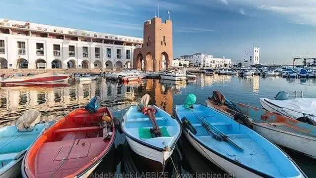 رحلة إلى الجزائر العاصمه
