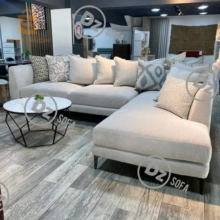 غرفة جلوس حديثة صالون