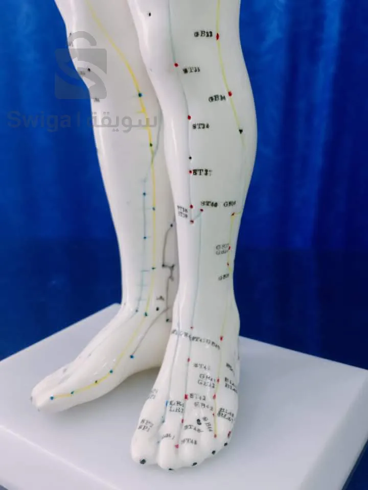 بنية نموذجية