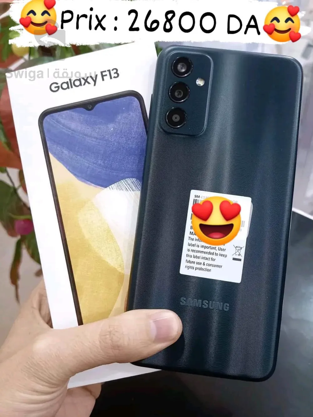 Galaxy F13
