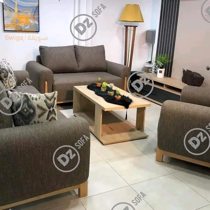 غرفة جلوس حديثة صالون