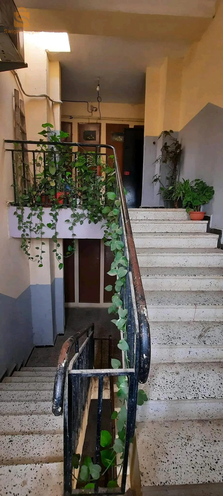 شقة سكنية للبيع