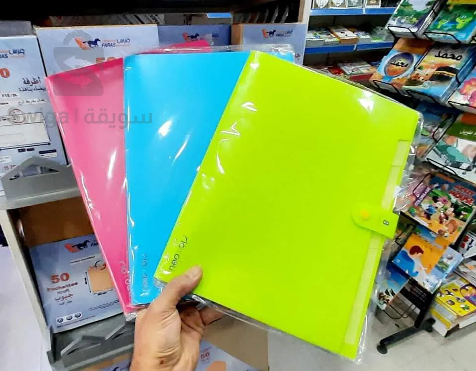 Multi-pocket holster