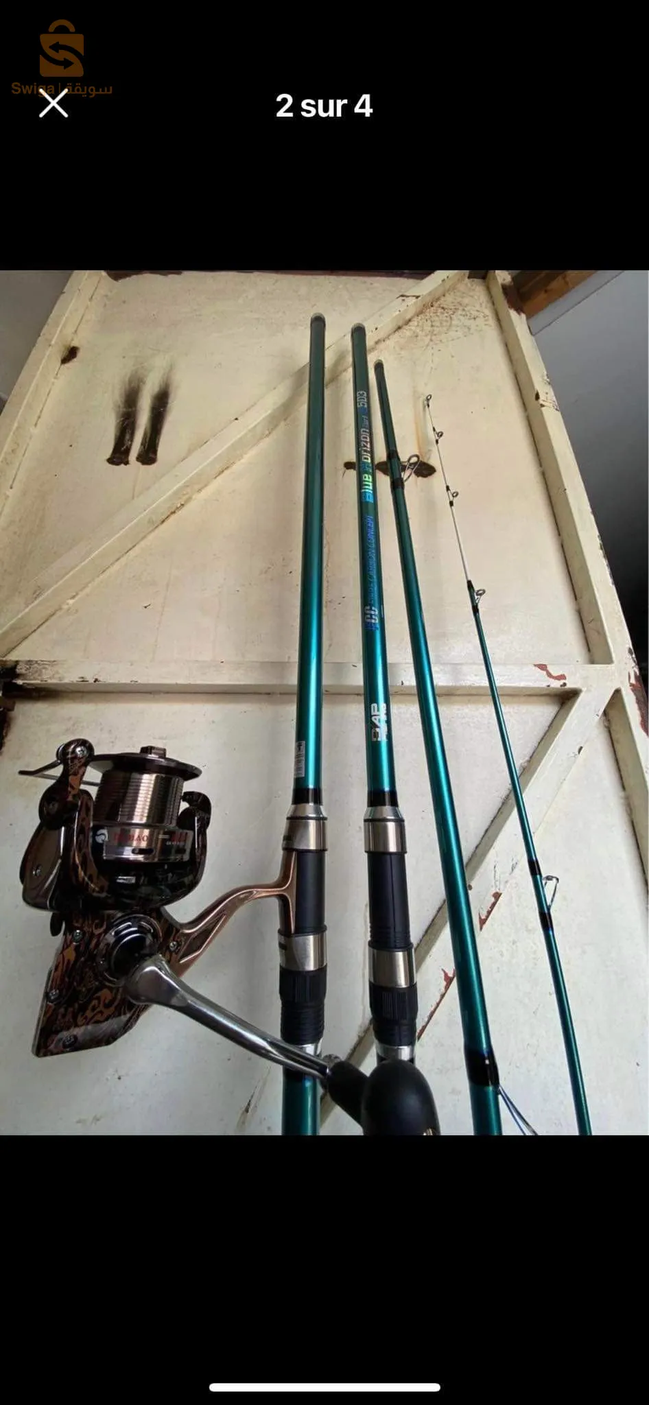 Canne dap fishing 🎣 4.20m + moulinet debaoo rs9000
