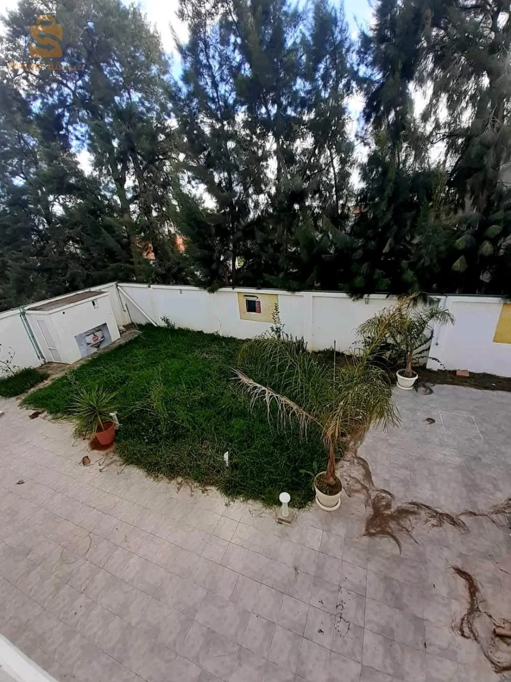 villa for rent