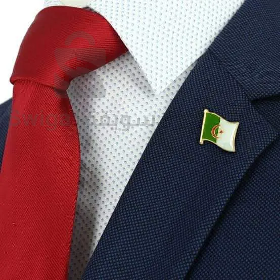 دبوس علم الجزائر