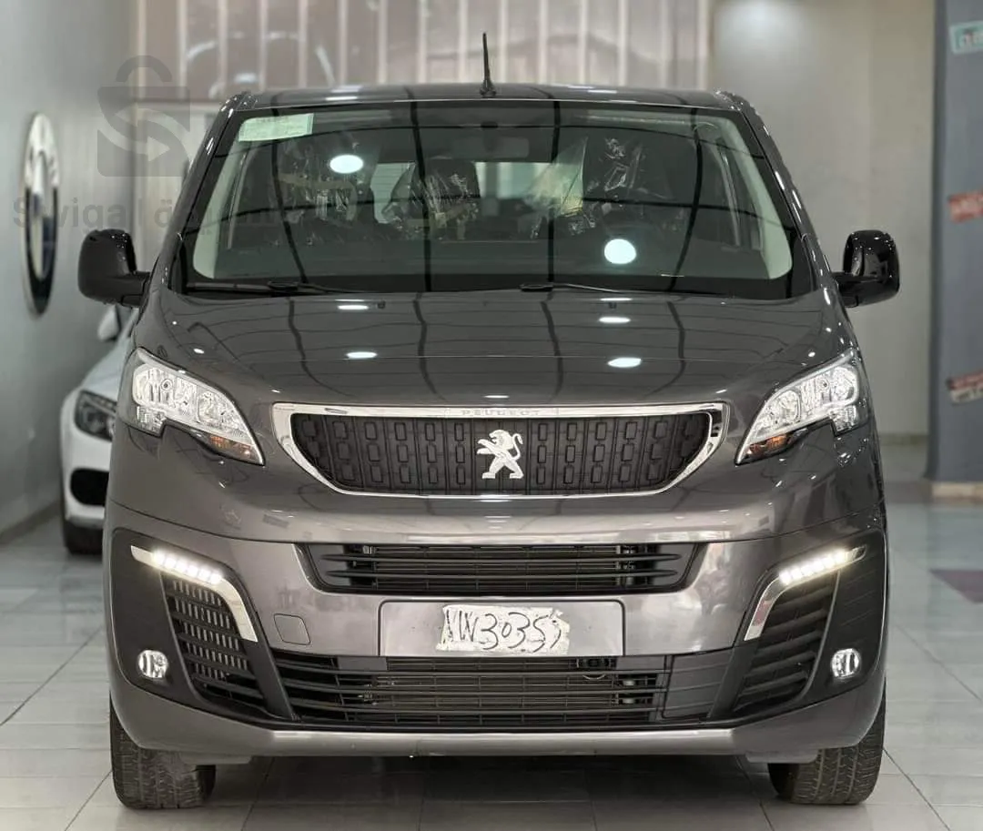Peugeot Exper