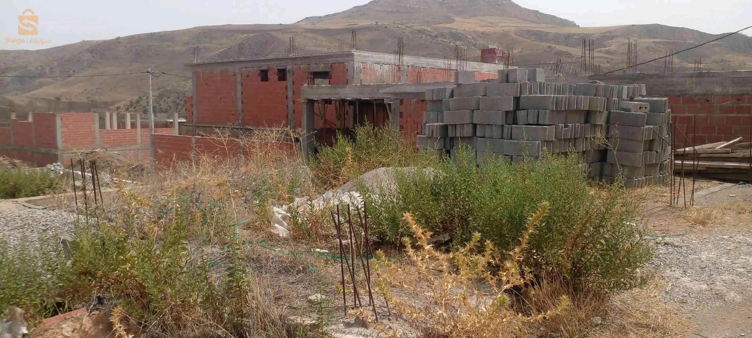 setf, ain roua, ben zrigue