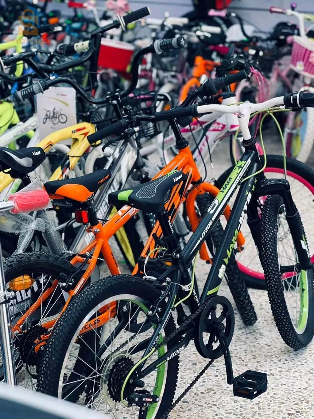 دراجات هوائية