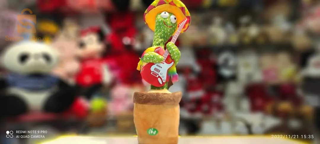 الصبار المتكلم