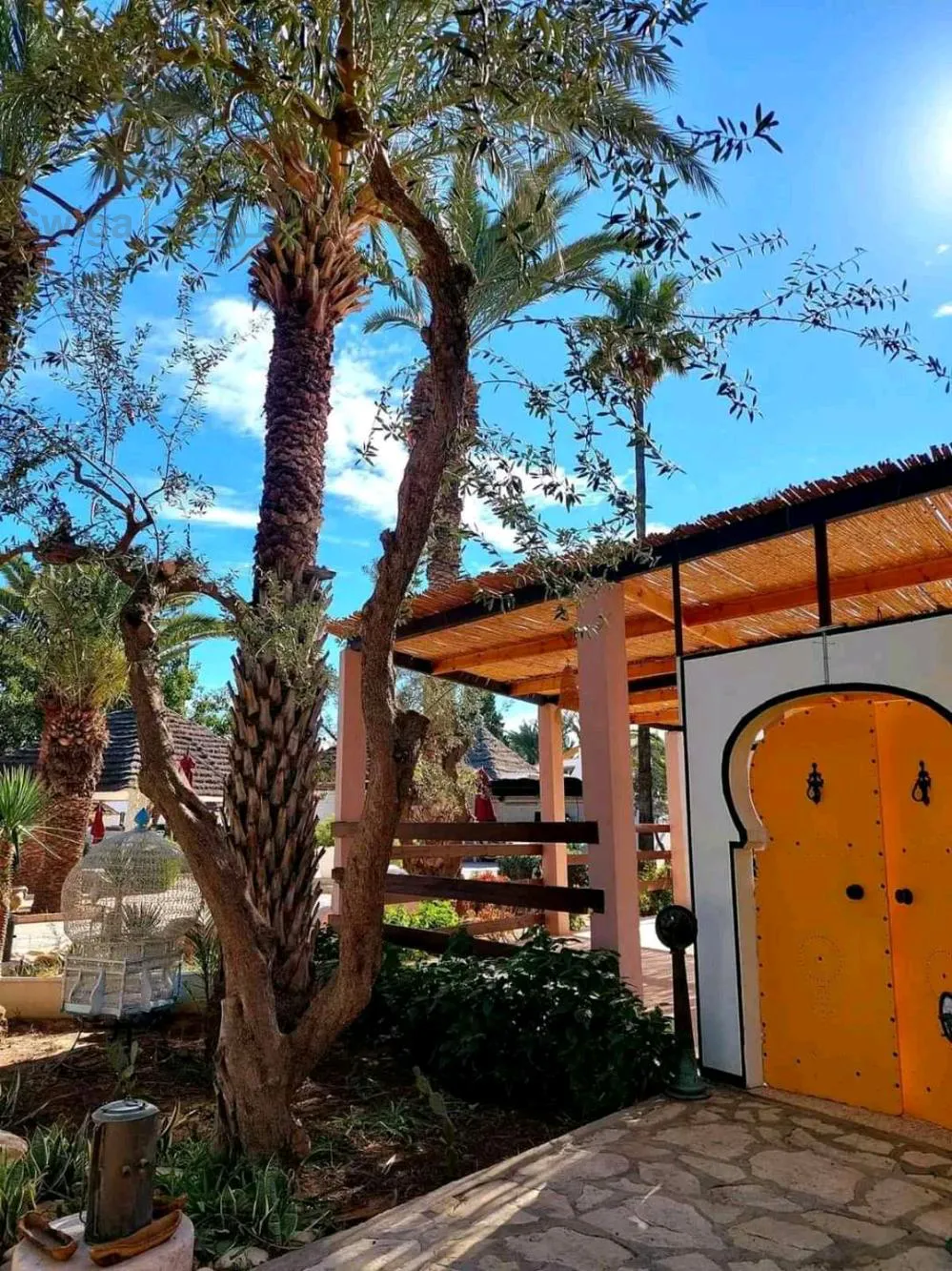 رحلة إلى تونس