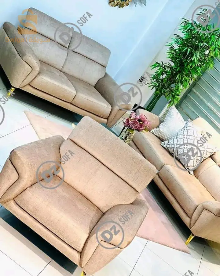 غرفة جلوس حديثة صالون