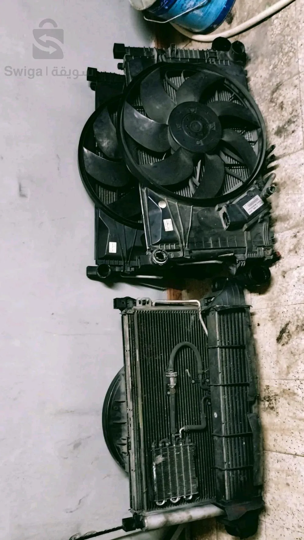 كايت رديتور مرسيديس