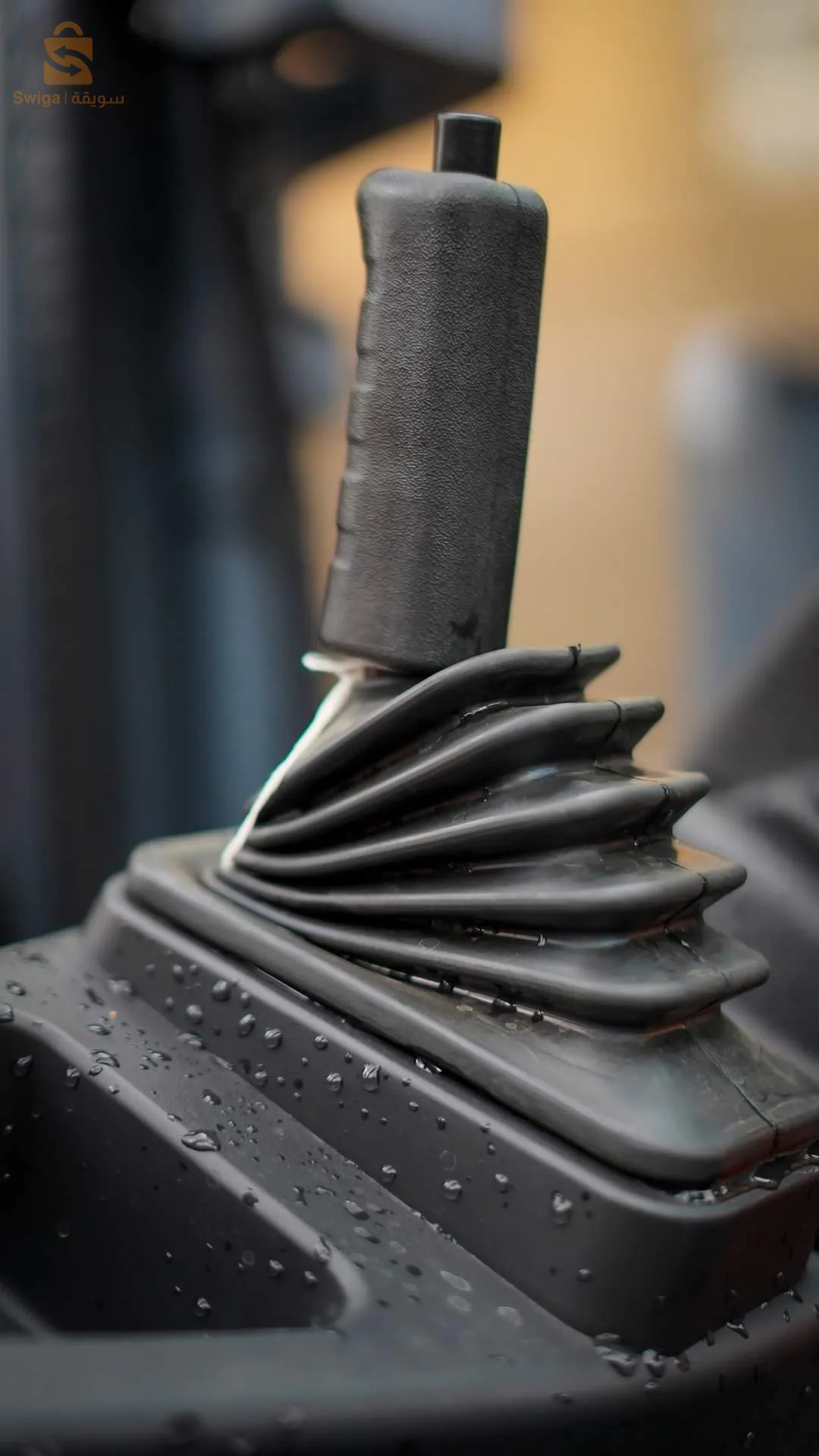 💯رافعة شوكية