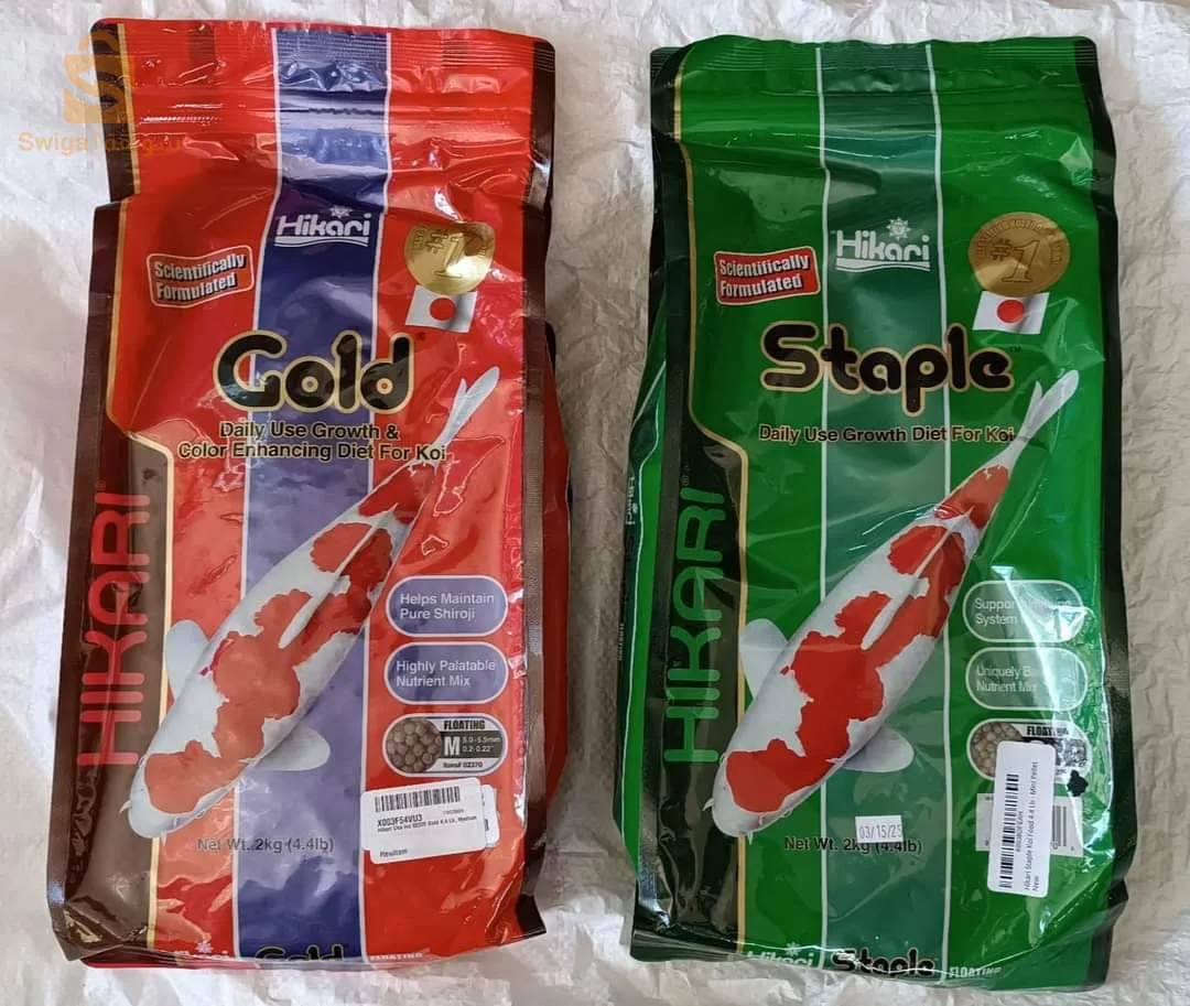 التيلة + الذهب