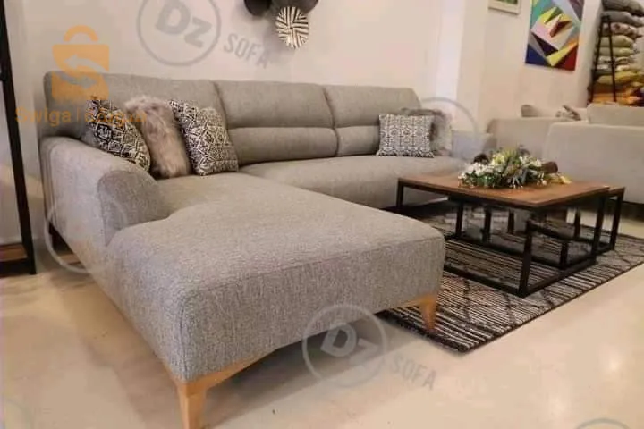 غرفة جلوس حديثة صالون