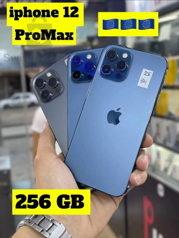 iphone 12 pro max