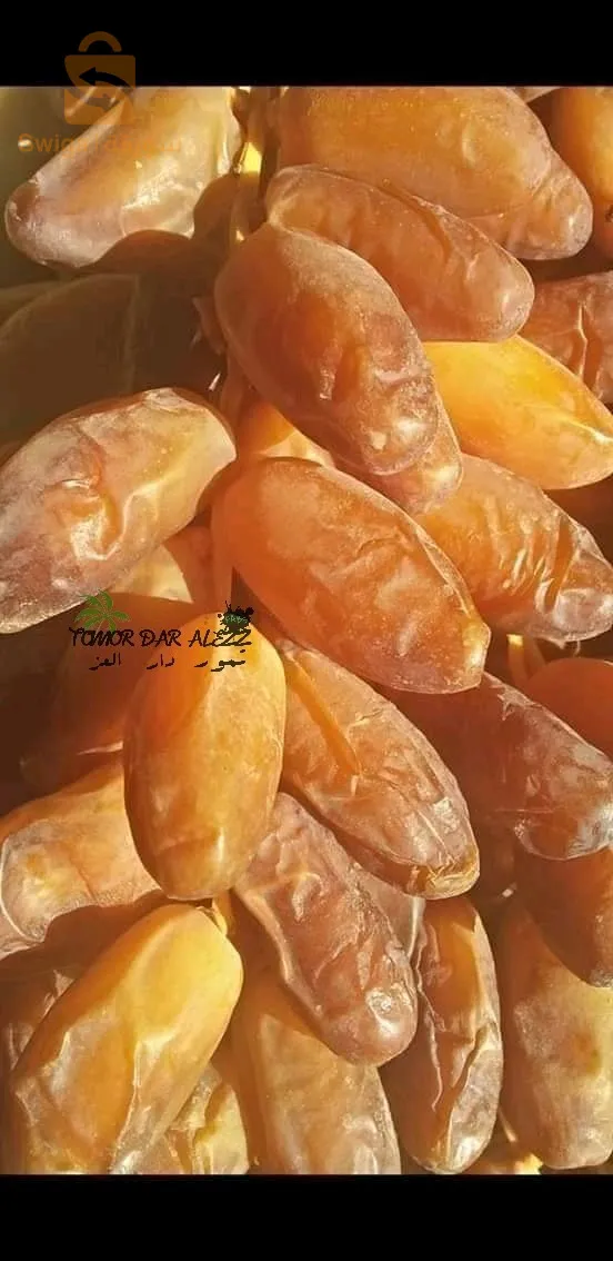 حي الواحات طولقة بسكرة الجزائر