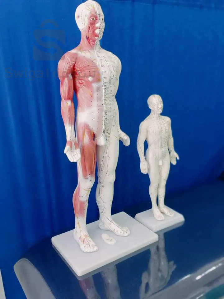 typical architecture