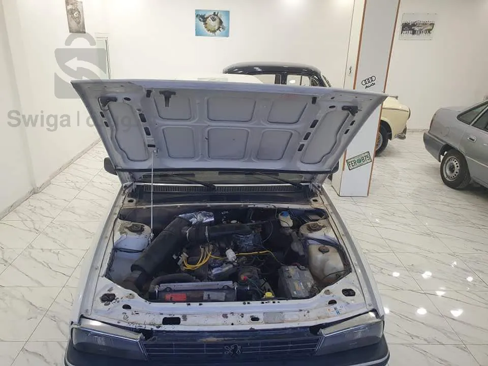 Peugeot  505