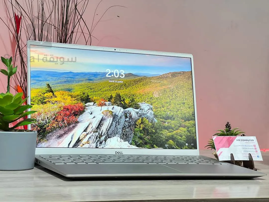 DELL INSPIRON 15 5501