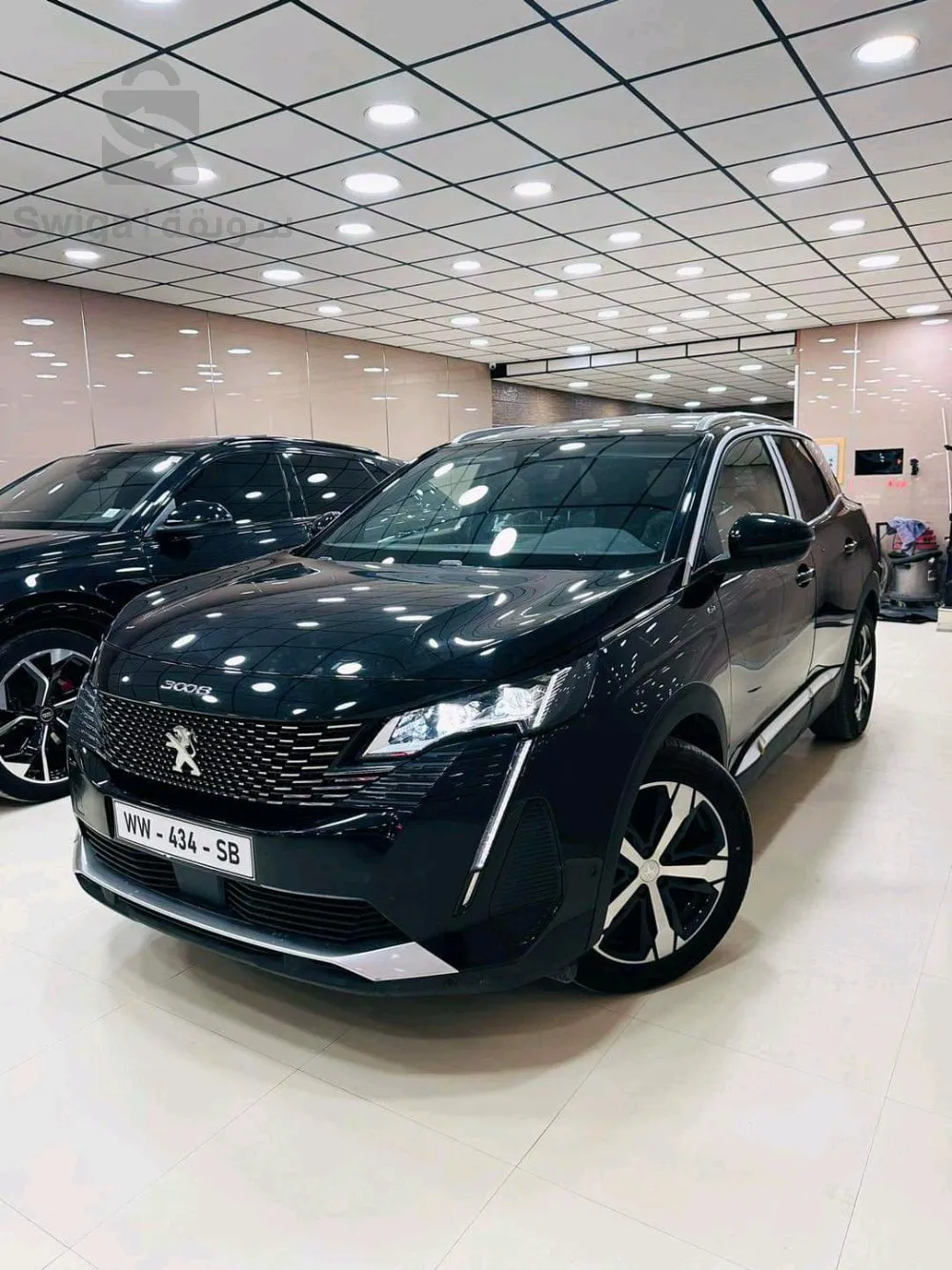PEUGEOT        3008