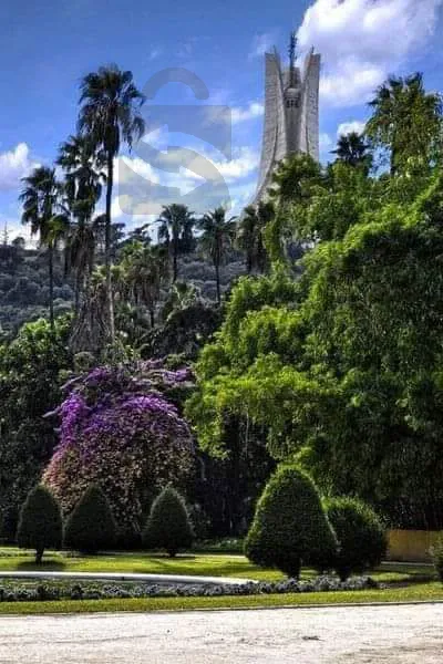 سياحة وسفر