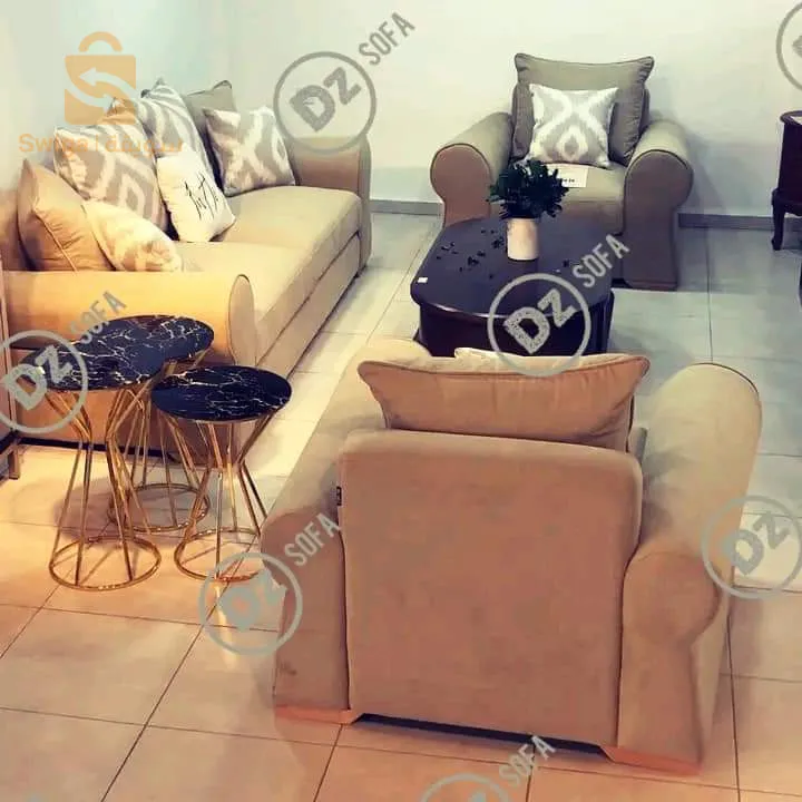 غرفة جلوس حديثة صالون