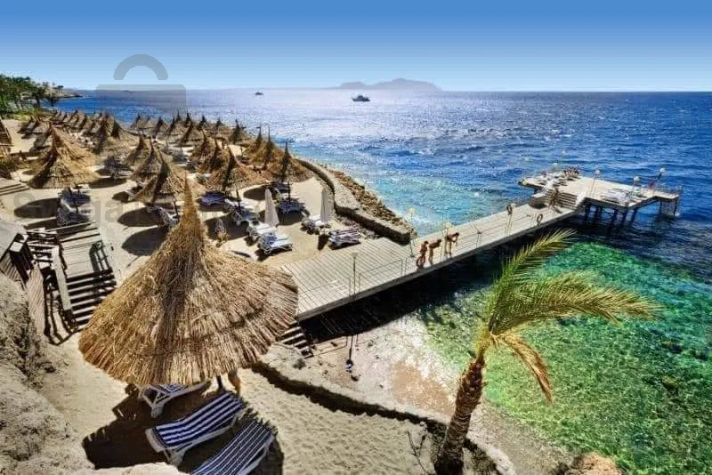 سياحة و سفر